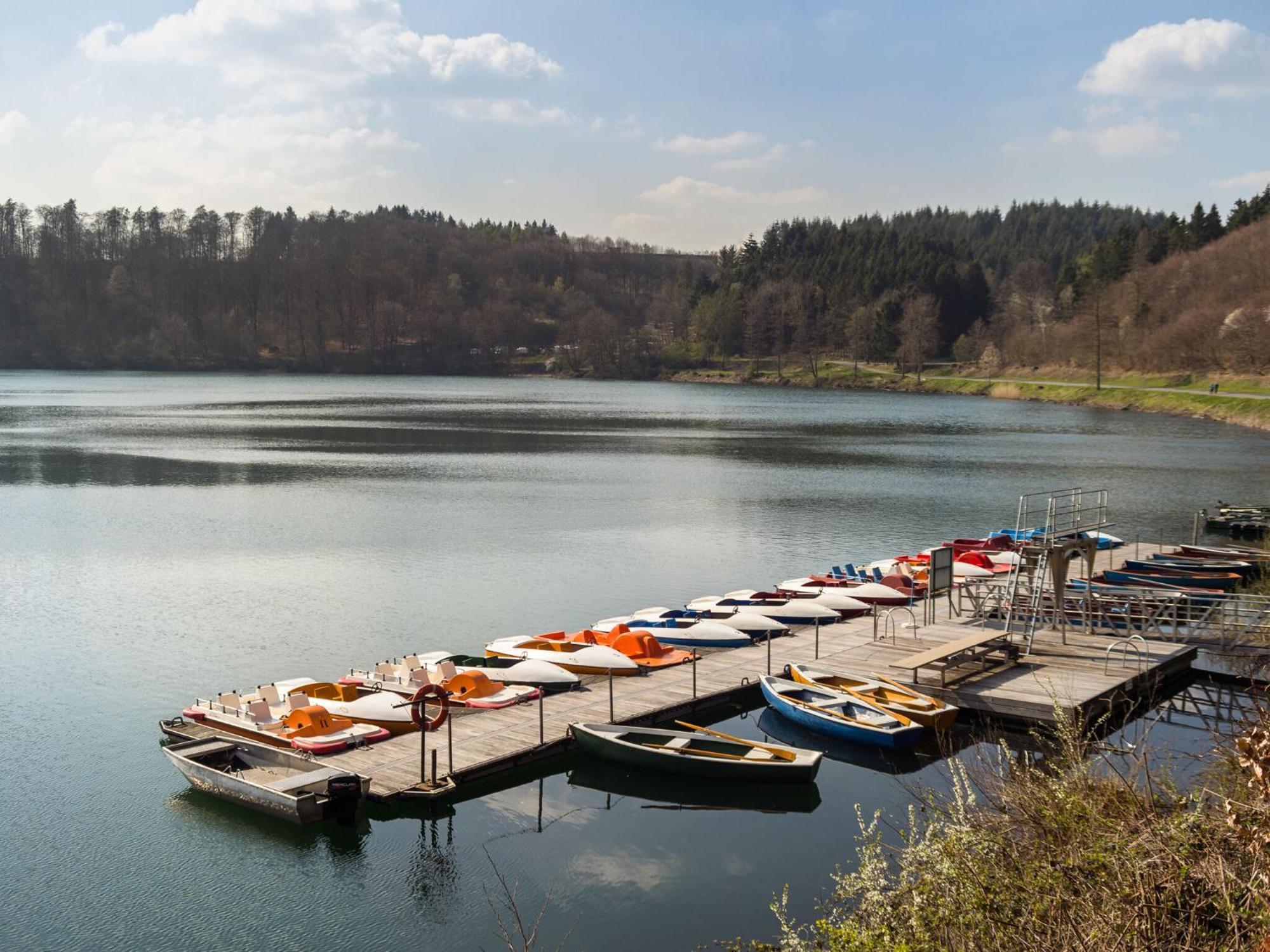 Dreamy Holiday Home In Ellscheid With Terrace Eksteriør billede